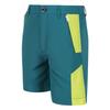 Regatta Childrens/Kids Sorcer II Mountain Shorts