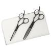 DEEDS Professional Thinning Scissors Set with Forged Finish and 3D Black Titanium Thinning Made In Japan by a Leading Japanese Scissors Ideal for