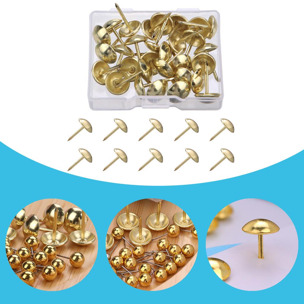 Map Tacks Push Pins Practical Map Push Pins Round Head Tacks Poster Pins Map Pins School Office Supplies for Craft Lover