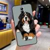 Чехол Бернский зенненхунд для Nubia Red Magic 10 9 8 Pro Plus 6 7 6S 7S Pro 5G 6R RedMagic 9S 8S Pro Plus