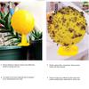 2/3/5Pcs Fly Restaurant Trap Ball with Sticky Kitchen Small Flying Animals