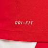 Nike Мужская футболка Dri Fit Team Legend Цвет: Университетский красный IB8898-657