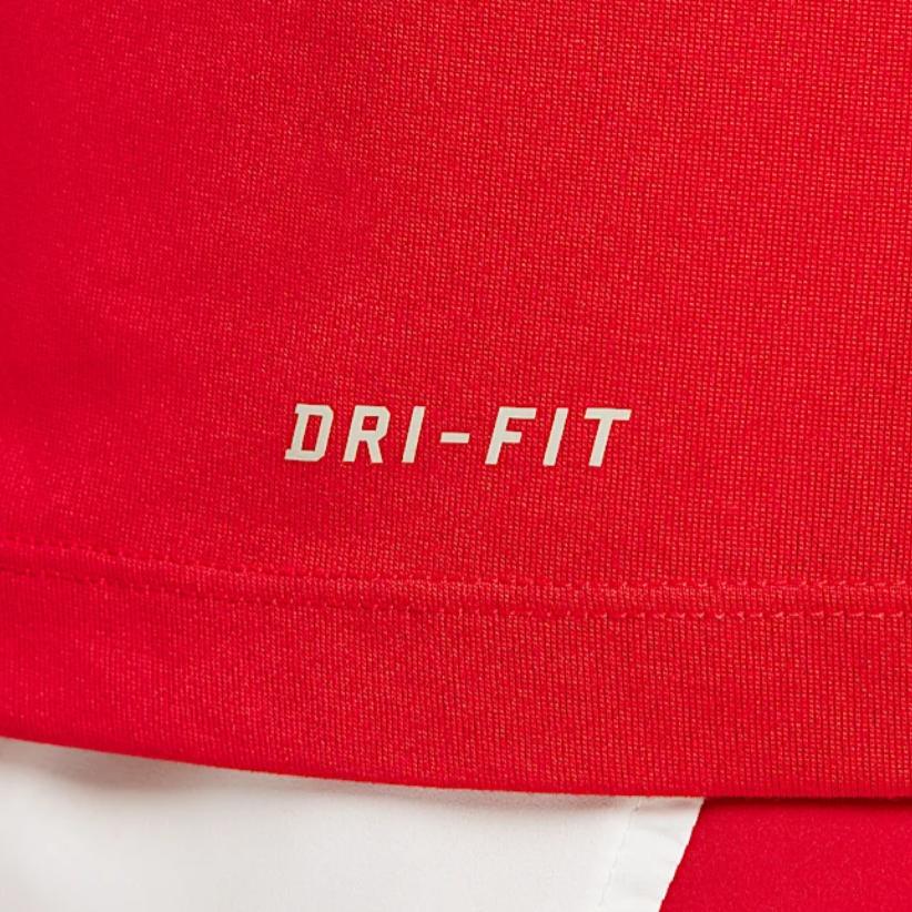 Nike Мужская футболка Dri Fit Team Legend Цвет: Университетский красный IB8898-657