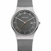 Bering Classic Watch 11938-007 Silver