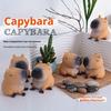 Cute Capybara Porpoise Squeeze Toy Quick Rebound Durable TPR Material Fun Stress Relief Animal Design for Relaxation and Play