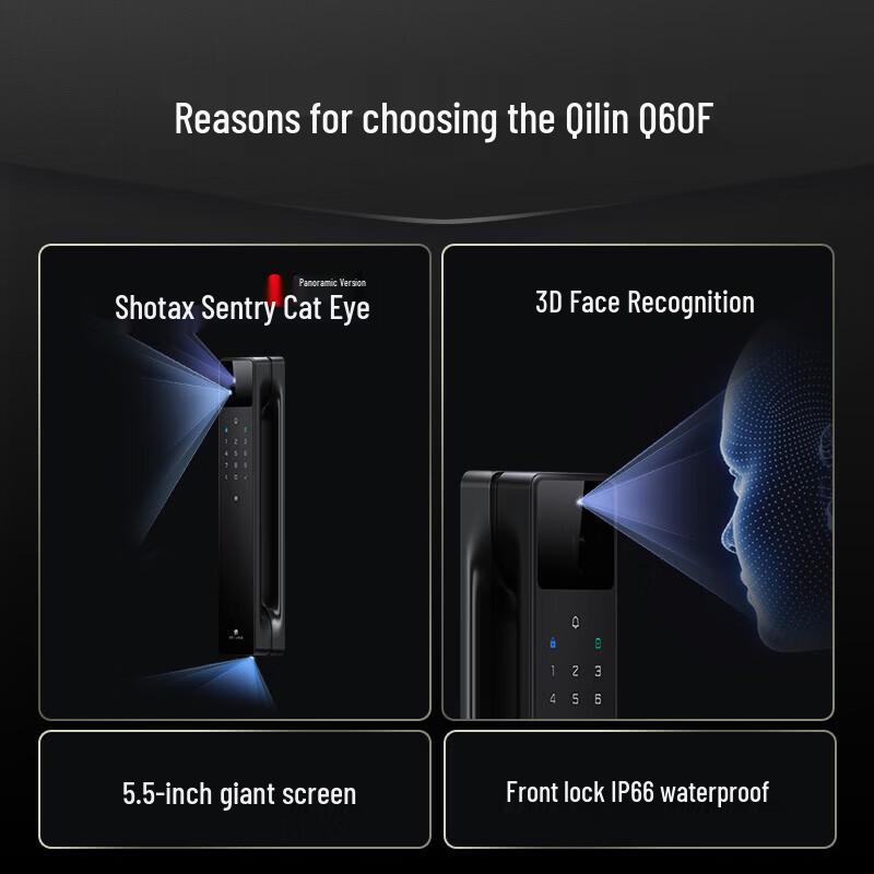 Desmann Q50FMAX Face Recognition Smart Door Lock