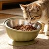 Non-Slip 2 in 1 Pet Feeder Stainless Steel Bowl Slow Feeder Bowl Pet Feeding Dish  Dog Water Bowl