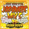 Mix CD BURN DOWN  Burn Down Style Japanese Mix 5 BDRCD028 Burn Down JPN 2013 Japan Japanese Club Dance Used