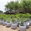 Garden Tools Thickening Planters Supplies Grow Bag Round Fabric Pots Root Container Plant Pouch