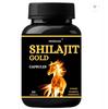 Freshoak SHILAJIT GOLD CAPSULES - 60 Capsules 500MG Pack 3 Set ( 60 X 3 )