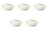 Set of 5 Ginpou Katsurin 6 Pots X X Banko Ware Earthenware Direct Fire Setomonohonpo No. [21.8cm 18.8cm 10.5cm] Pots, (Pot Only),