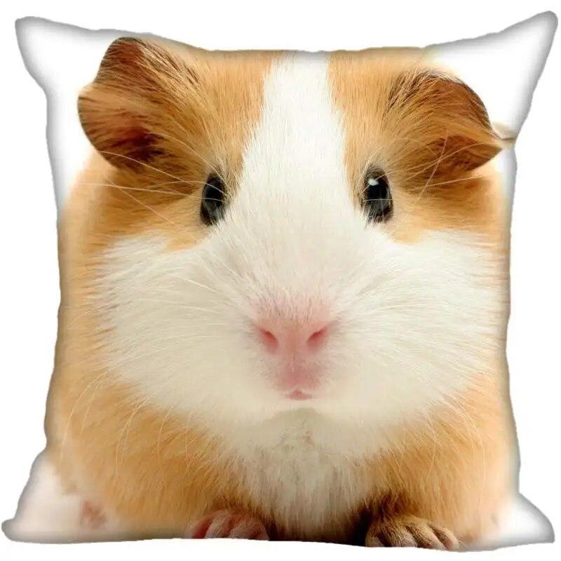 Наволочка для гостиной с морской свинкой в ​​современном доме