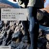 Goldwin trekking socks hiking wool dry arch support foot unisex C3fit