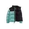 THE NORTH FACE 1996 Down Jacket Winter Men's Multicolor (Unisex) Down Jackets NF0A3C8D 6R7