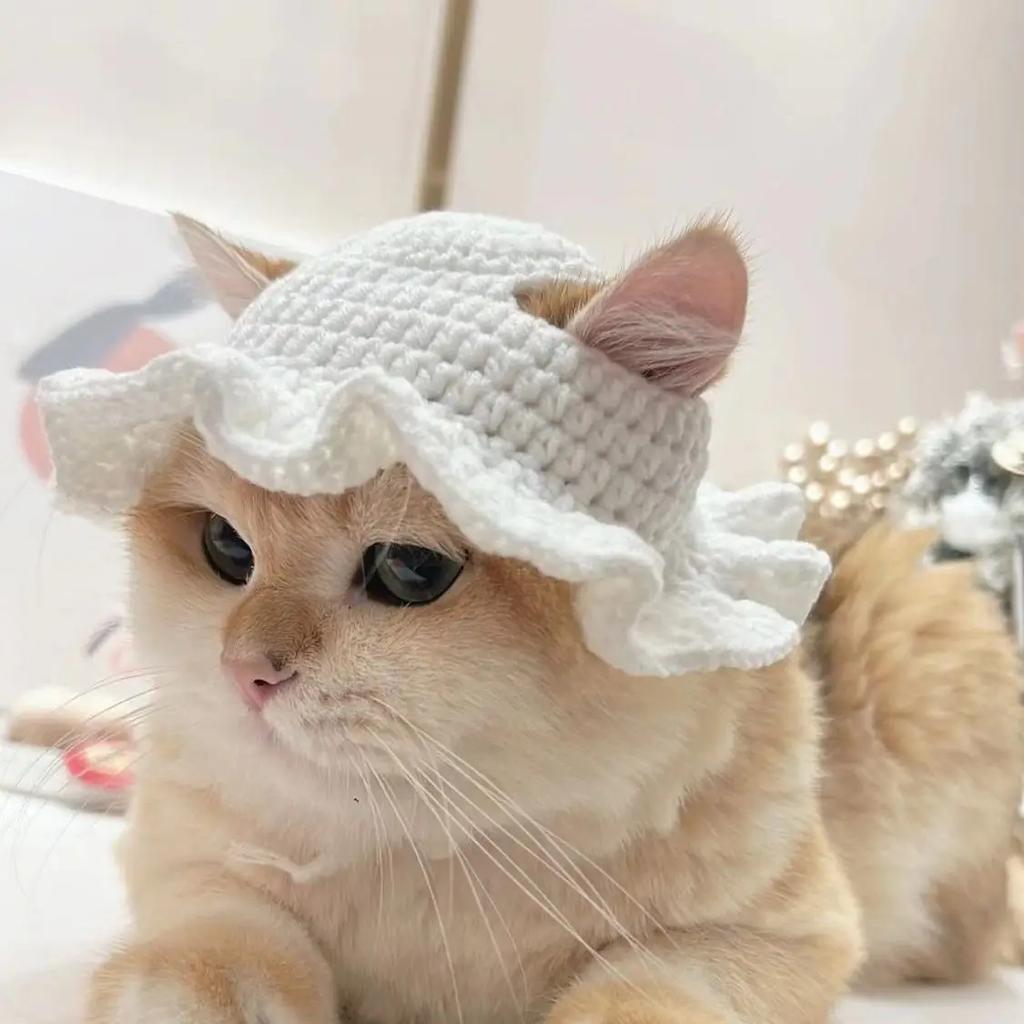 Autumn Winter Cat Hat Elastic Cute Refined Pet Hat Puppy Kittens Knitted Hat Party Photo Shoot Props Decoration Cat Accessories