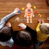 Children's Enlightenment Science Education Human Organ Model Ornaments DIY Assembly STEAM Medical Early Education Puzzle Toys