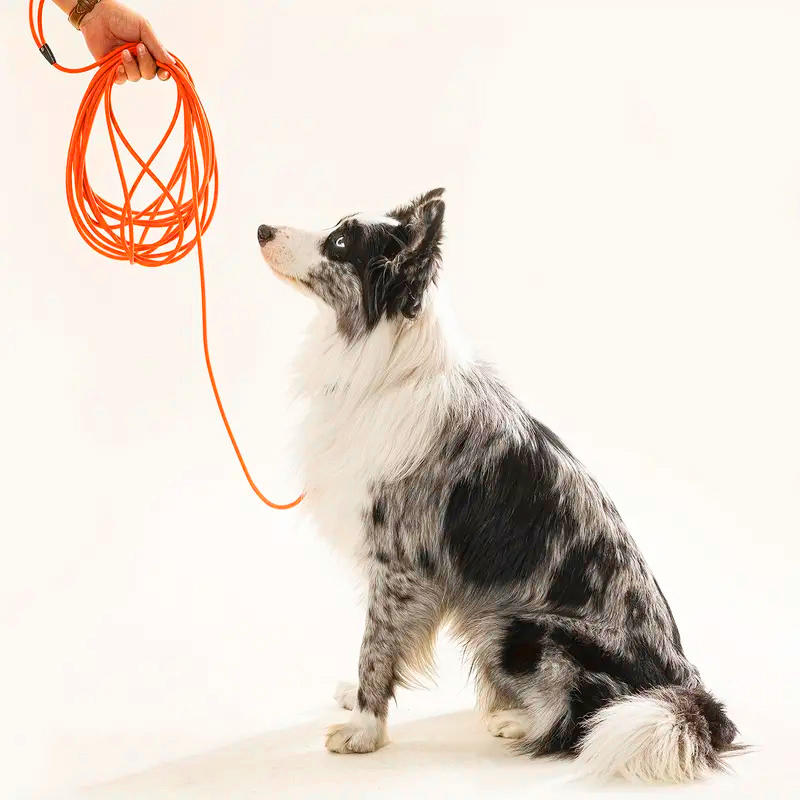 Round Pet Leash 6mm Anti Entanglement Outdoor Dog Leash Cat Leash Safety Rope Explosion-proof Dog Walking Device