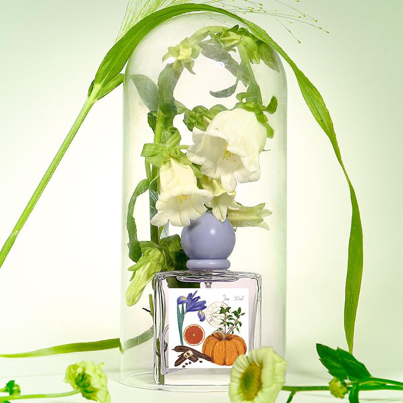 Женский парфюм Стойкий легкий аромат свежий цветочно-фруктовый аромат нишевый парфюм для женщин