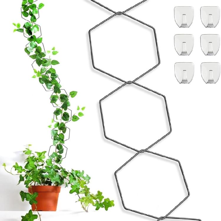 Indoor Plant Stem Rack Climbing Support Flower Pots Vine Stand Holder Plant Trellis Supporting Bracket Garden Decoration