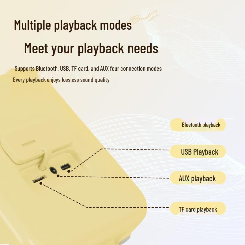 Divoom SongBird-SE Karaoke Bluetooth Speaker