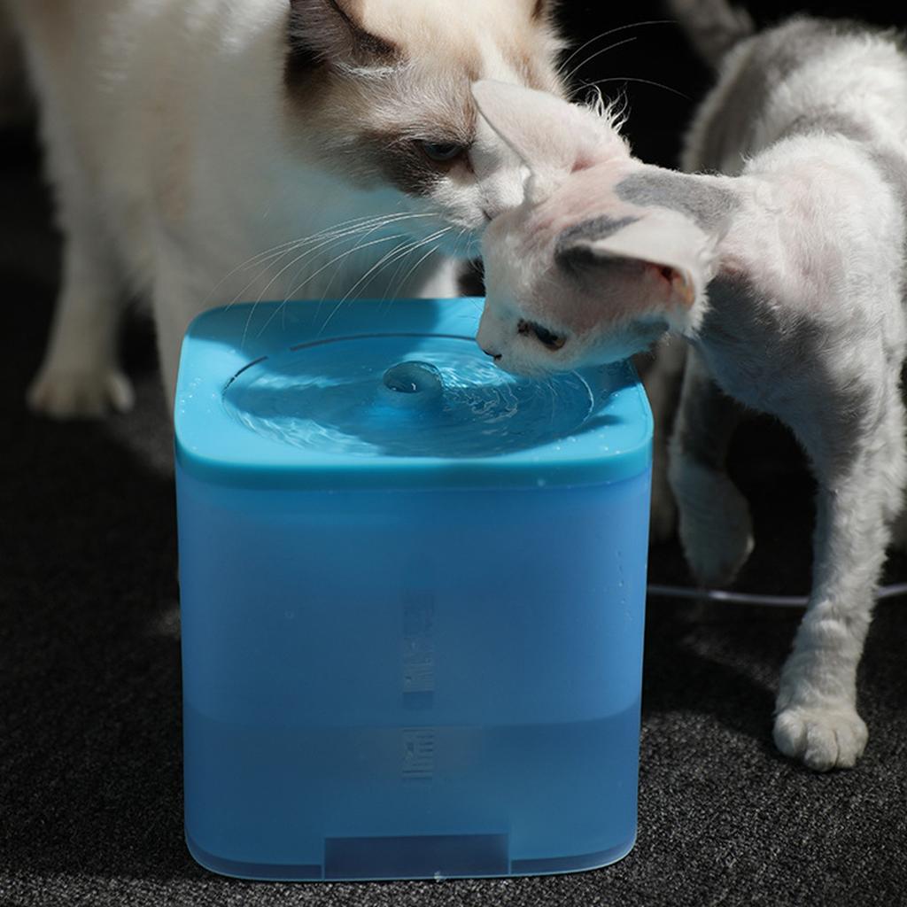 Новое обновление, 2 л, автоматический фонтанчик для воды для домашних животных, фильтр, дозатор, кормушка, умная поилка для кошек, миска для воды, котенок, щенок, собака, питьевые принадлежности