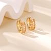 Light Luxury Fashion Zircon Ear Buckle Earrings Women's Temperament Design Sense Versatile Earrings