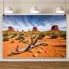 Desert Landscape Rocky Mountains Photography Background Reptile Habitat Immortal Palm Sun Oasis Natural Background Poster