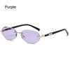 Street Style Punk Shades Cut-Edge Y2K Eyewear Fashion Hip-Hop Sun Glasses  for Women