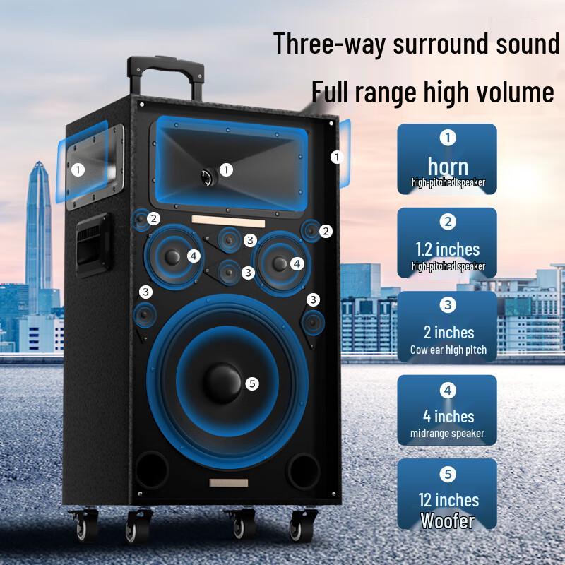 Портативная уличная Bluetooth-колонка Newsmy N550 12 дюймов с двумя микрофонами (Китайская версия)