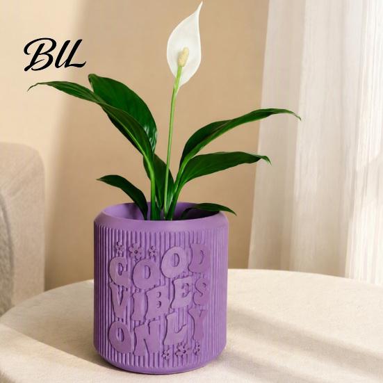 Decorative Pots for Living Room Countertops 3D Printed Planter, Small Good Vibes Only Flower Pot, Embossed Plastic Plant Container Cute Cactus Desktop