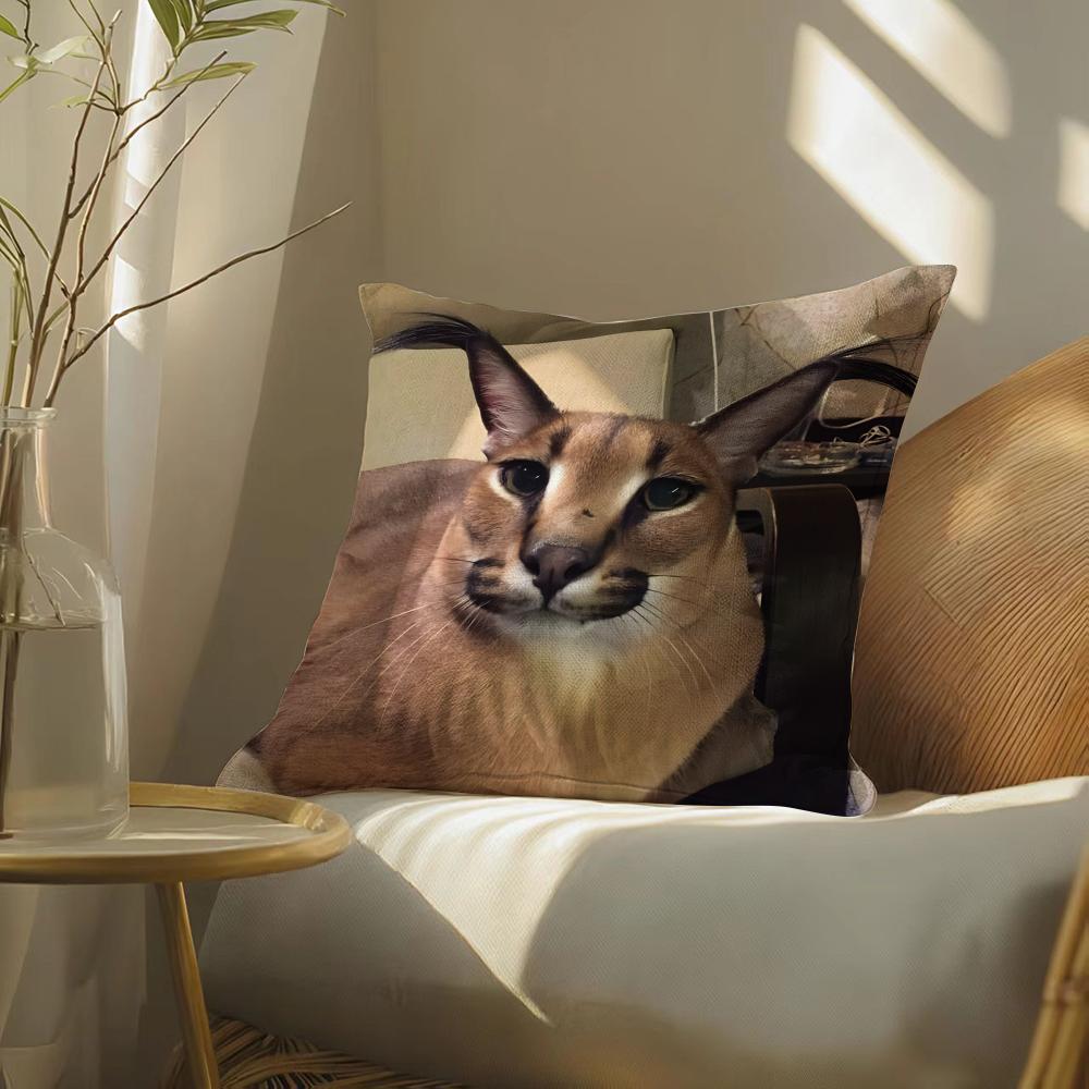 Наволочка для подушки с мемом Floppacat, Двусторонняя печать, Подушка для дивана, Изголовье кровати