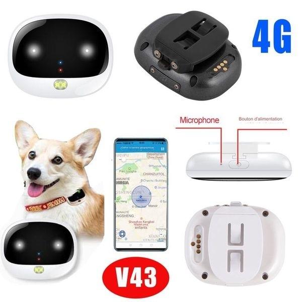 Водонепроницаемый GPS-трекер 4G для отслеживания животных в режиме реального времени