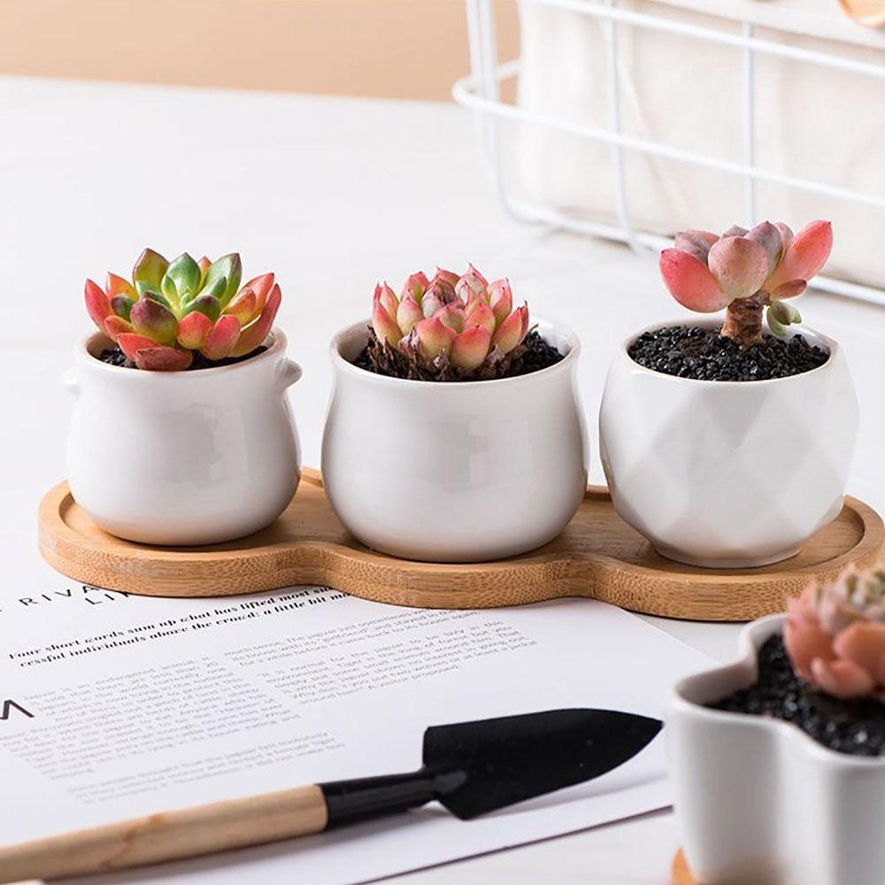 Пятиконечная звезда Подставка для цветочного горшка Бамбуковая деревянная подставка для кашпо Основа Подарок Суккуленты Бонсай Держатель