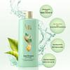 Shulei Green Tea Seed Oil Control Anti-Dandruff Shampoo