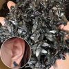 Серьги-Мухи Имитация 2026 Новый Персонализированный Тренд Мультяшный Модный Нишевый Дизайн Серьги-Насекомые