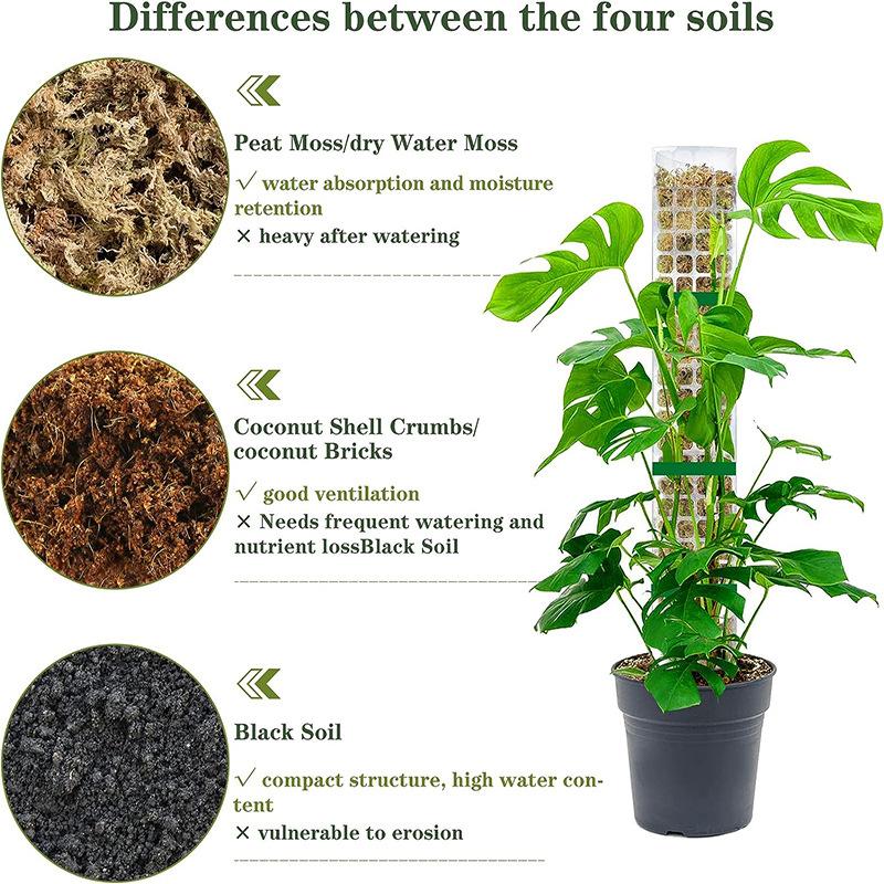 2/4/6Pcs Climbing Plant Water Moss Column Indoor Moss Pole Plants Plastic Pole for Sphagnum Support Potted Plants Sticks Creeper