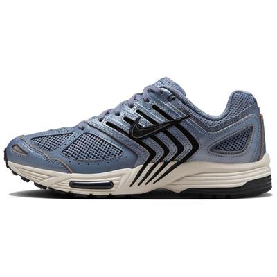 Женские кроссовки Air Pegasus 2005 Ashen Slate HQ5725-400