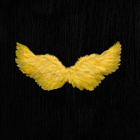 Дети Крылья Ангела Девочки Принцесса Костюм Регулируемые Перья Фея Крылья Косплей Сценическое Представление