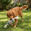 Rugby Shaped Dog Chew Toy Interactive Dog Bite Ball Pet Supplies Pet Knot Toy Teething Cleaning