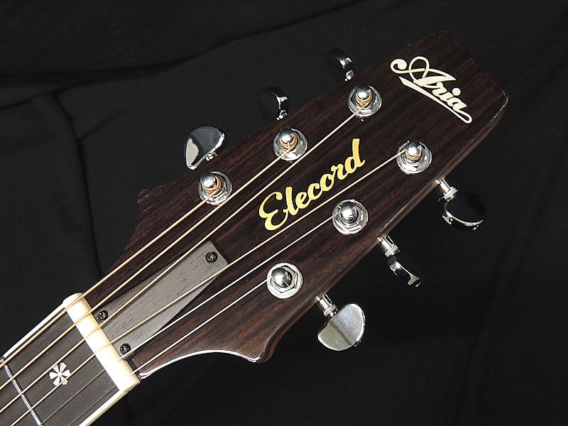 ARIA N Thin Body Electric Acoustic Guitar Side Sound Hole Fishman Natural APE-100