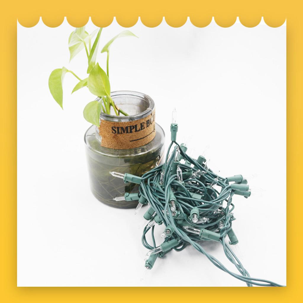 100 Light Christmas Decorative Lights US Standard Tungsten Filament Pull String Light String Outdoor Colored Light String