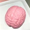 1/2Pcs Giant Simulation Brain Squeeze Toy Stress Relief Pink Brain Sensory Toy Decompression Slow Rising Realistic Brain Fidget Toy