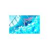 Tsukihime -A Piece of Blue Glass Moon- - PS4 [Рейтинг CERO «Z»]