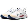 Nike Кроссовки мужские Juniper Trail 2 GORE-TEX White Cedar Court Blue черные FB2067-102