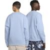 Nike ACG Therma-Fit Tuff Fleece Crewneck Голубой/Белый Уличная одежда унисекс DX9611-479