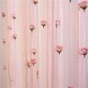 Подвесная занавеска для салона красоты, перегородка для магазина одежды, занавеска для розовой двери, линия занавесок