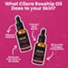 TCA Aid Skin Peel Трихлоруксусная кислота 20% Skin Peel Сокращение пор Морщины Пятна Уход за кожей Сыворотка для лица