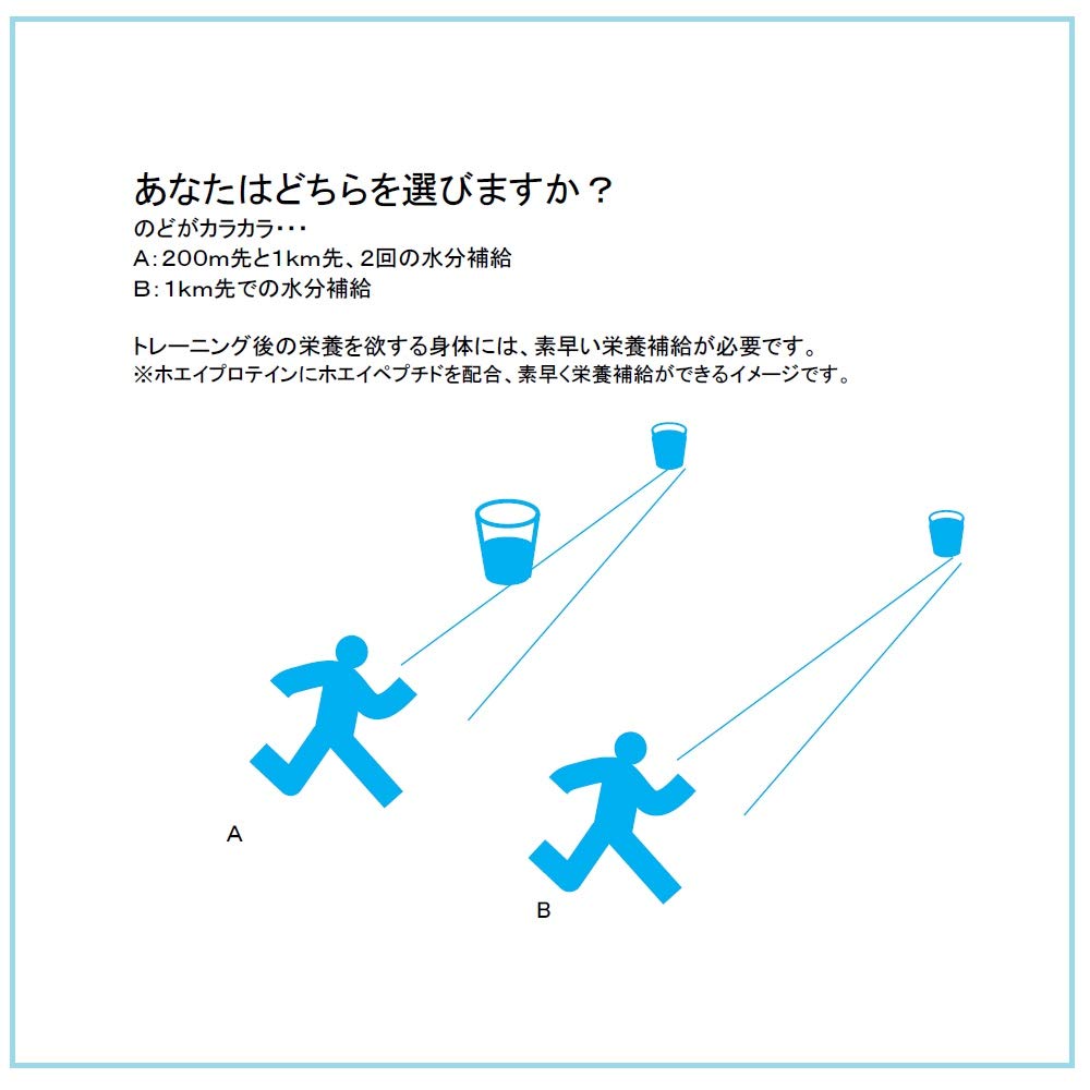 GYM Whey Protein Chocolate Flavor GOLD'S 1,500g