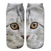 Yousheng Realistic Cat Face Socks 3D Cat Print Socks Breathable Cute Kitten Socks Funny Xmas Birthday Gifts for Women Men Cat Lovers