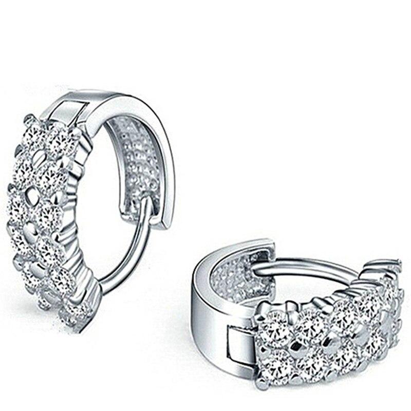 925 Sterling Silver Double Row Shiny Zircon Earrings Female Models Suitable for Valentine's Day Gift Factory Wholesale Price